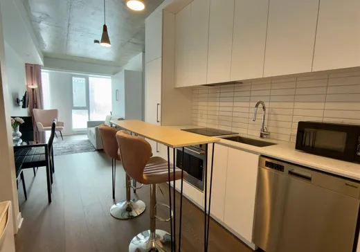 Loft for sale - 3045 Boul. de l'Assomption, App. 303, Montreal (Mercier/Hochelaga-Maisonneuve), H1N0E5
