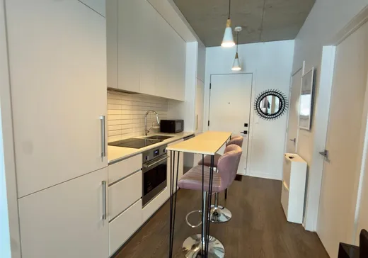 Loft for sale - 3045 Boul. de l'Assomption, App. 303, Montreal (Mercier/Hochelaga-Maisonneuve), H1N 0E5