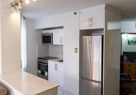 Condo à vendre - 1055 Rue St-Mathieu, App. 641, Montréal (Centreville), H3H 2S3