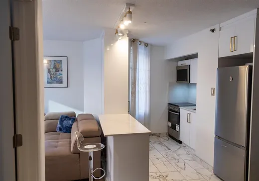 Condo à vendre - 1055 Rue St-Mathieu, App. 641, Montréal (Centreville), H3H 2S3