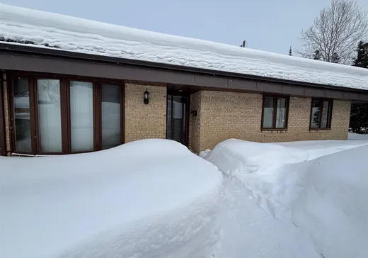 Condo for sale - 190 Rue Desjardins, Sainte-Agathe-des-Monts, J8C2W9