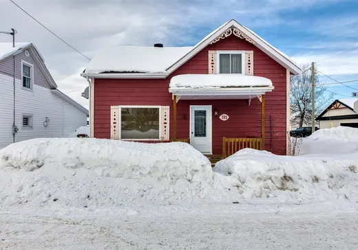 Un étage et demi à vendre - 195 Rue St-Roch, Thetford Mines, G0N1E0