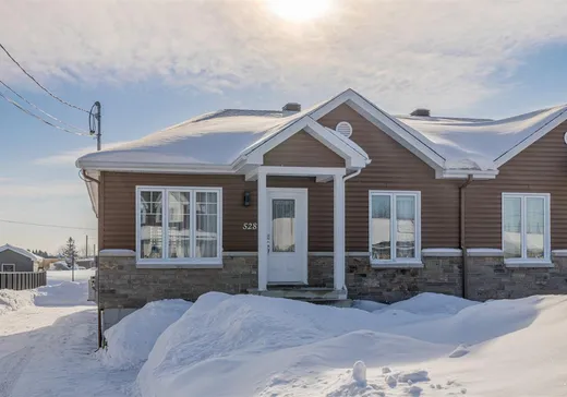 Maison à vendre - 528 Rue St-Gilbert, Saint-Marc-des-Carrières, G0A 4B0