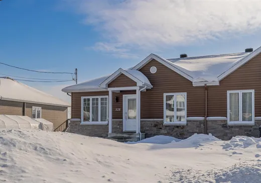 Maison à vendre - 528 Rue St-Gilbert, Saint-Marc-des-Carrières, G0A 4B0