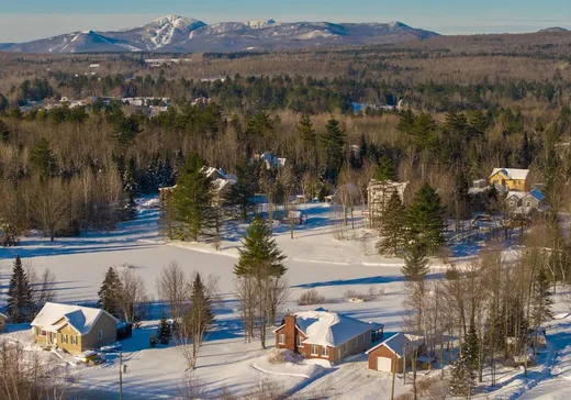 Maison à vendre - 69 Rue Hémond, Sherbrooke, J1R 0A4