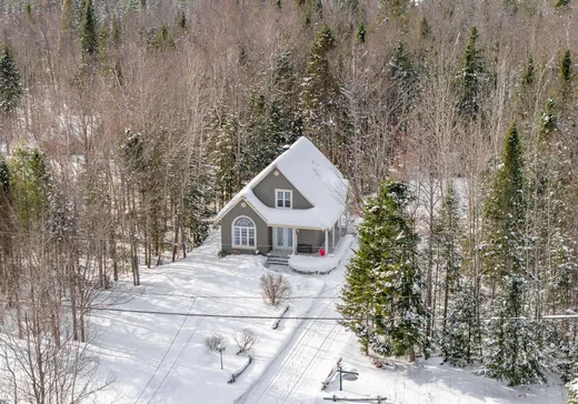 Maison à vendre - 63 Rue du Val-des-Arbres, Rock Forest, J0B 2S0