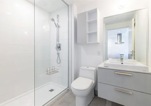 Condo à vendre - 1239 Rue Drummond, App. 1004, Montréal (Centreville), H3G 0G4