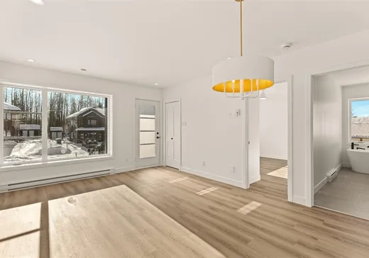 House for sale - 359 Rue Pruneau, Sherbrooke, J1N 3L5