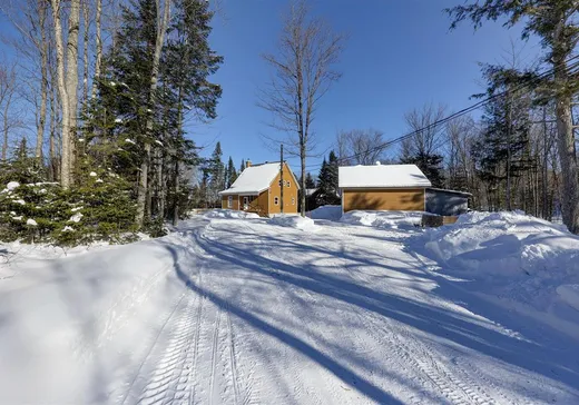 Un étage et demi à vendre - 38 Av. du Cap, Sainte-Christine-d'Auvergne, G0A1A0