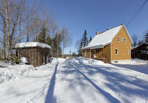 Maison à vendre - 38 Av. du Cap, Sainte-Christine-d'Auvergne, G0A 1A0