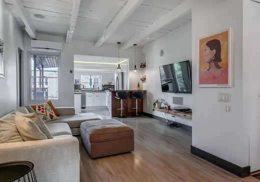 Condo à vendre - 1879 Rue St-Germain, Montréal (Centreville), H1W2T5