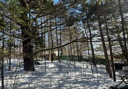 Maison à vendre - 3212 Av. de la Montagne, Shawinigan, G9N 6K6