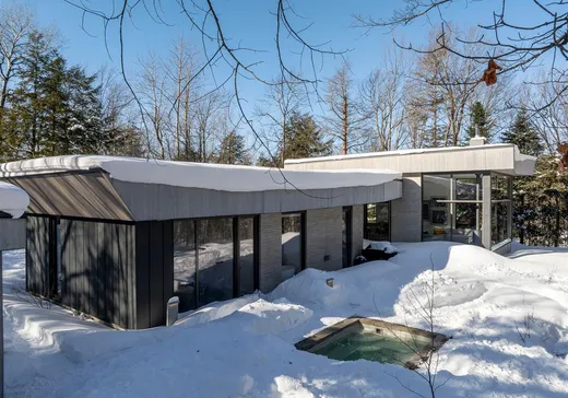 Maison à vendre - 15 Ch. du Hibou, Eastman, J0E 1P0
