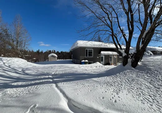 Paliers multiples à vendre - 332B Rue Bouchard, Lac-Etchemin, G0R1S0