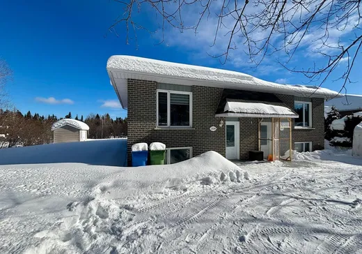 Maison à vendre - 332B Rue Bouchard, Lac-Etchemin, G0R 1S0