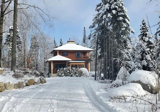 Maison à vendre - 599 Ch. de l'Artisan, Ste-Lucie, J0T 2J0