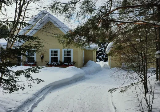 Maison à vendre - 841 Ch. Nantel, Mont-Tremblant, J0T 1H0