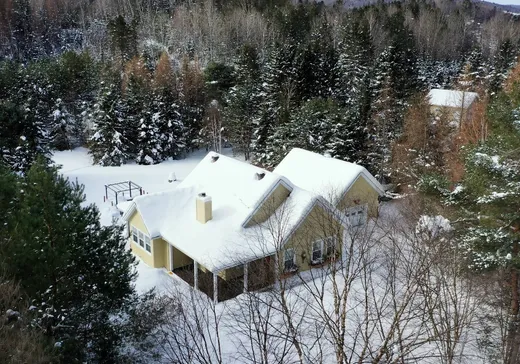 Maison à vendre - 841 Ch. Nantel, Mont-Tremblant, J0T 1H0