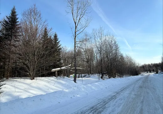 Maison à étages à vendre - 904 Ch. du Quartier-Auger, Ville de Québec, J0H1E0