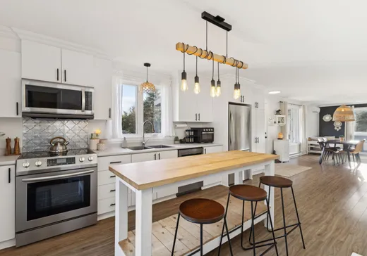 Fermette à vendre - 184Z Mtée de la Mer-Bleue, L'Ascension, J0T1W0