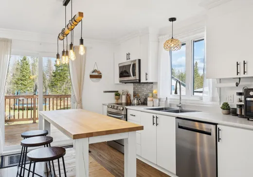 Fermette à vendre - 184Z Mtée de la Mer-Bleue, L'Ascension, J0T 1W0