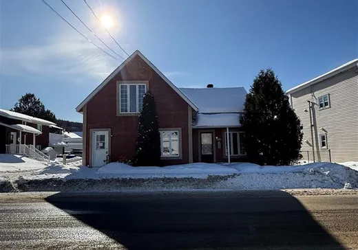 Maison à vendre - 393 Rue St-François, La Tuque, G9X 1S8