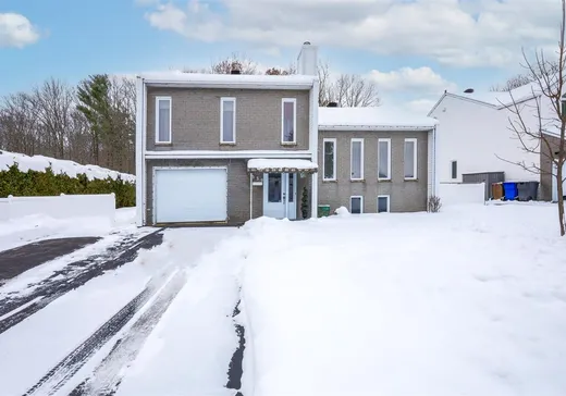 Paliers multiples à vendre - 550 Rue Mogé, Massueville, J3P7T5