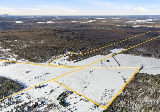 Maison à vendre - 209 Ch. Lefebvre (209Z), Stukely, J0E 2J0