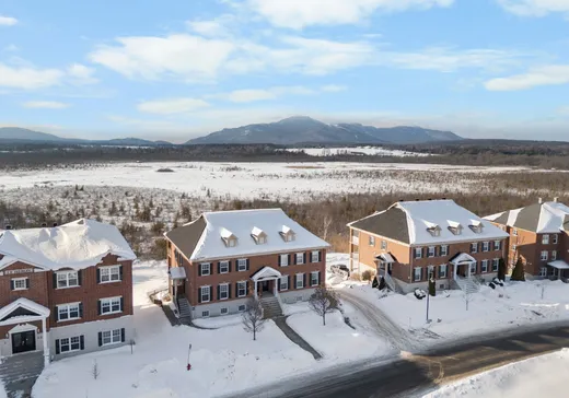 Condo à vendre - 951 Rue du Moulin, Magog, J1X 7K5
