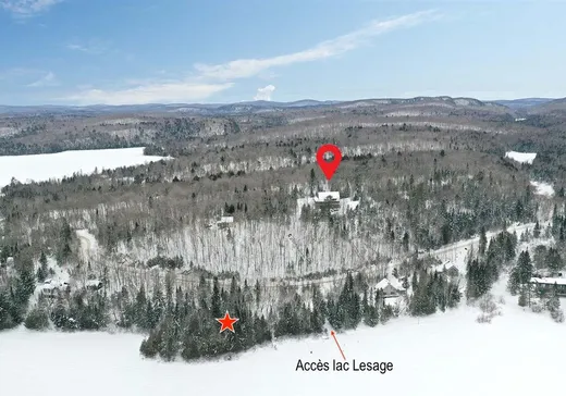 Maison à vendre - 165 Ch. des Cygnes, Nominingue, J0W 1R0