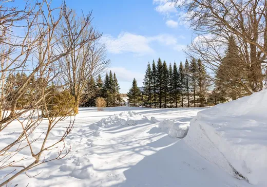 Maison à vendre - 377 Route 116 O., St-Agapit, G0S 1Z0