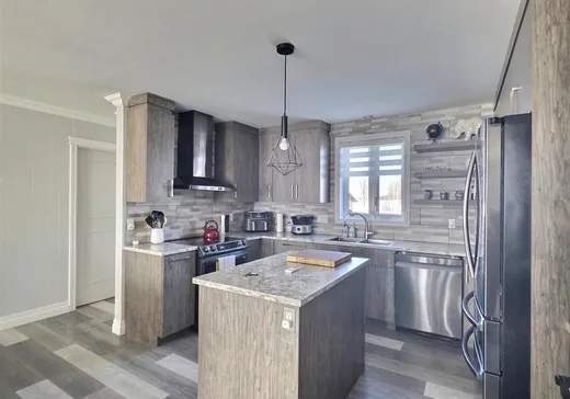 Maison à vendre - 127 Rue Dubé, Laurierville, G0S 1P0