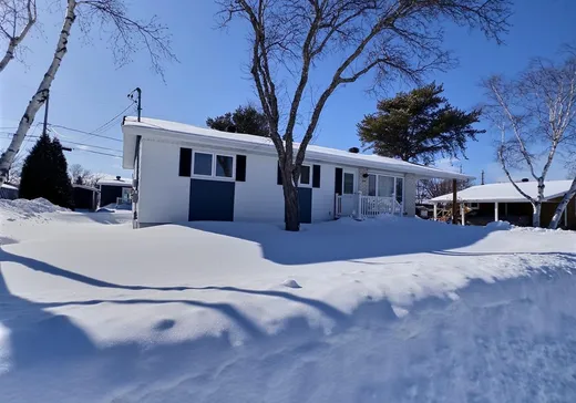 Maison à vendre - 484 Rue des Roitelets, Saint-Pierre-de-Lamy, G0L 4K0