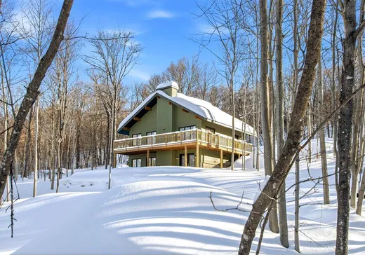 Bungalow à vendre - 127 Rue Paulsen, Sainte-Agathe-des-Monts, J8C0X1