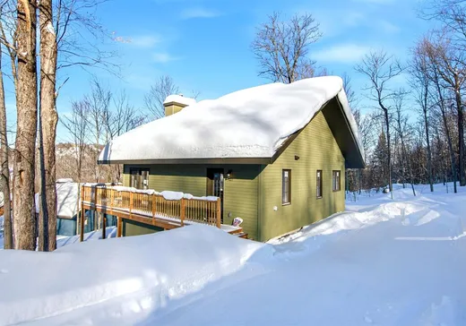 Maison à vendre - 127 Rue Paulsen, Sainte-Agathe-des-Monts, J8C 0X1