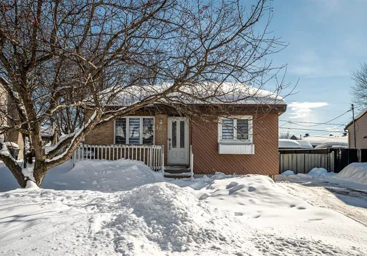 Maison à vendre - 163 Rue des Bouleaux, Sainte-Anne-des-Plaines, J5N 0S8