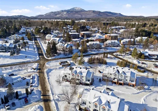 Condo à vendre - 2290 Place du Village, App. 216, Magog, J1X 6G3