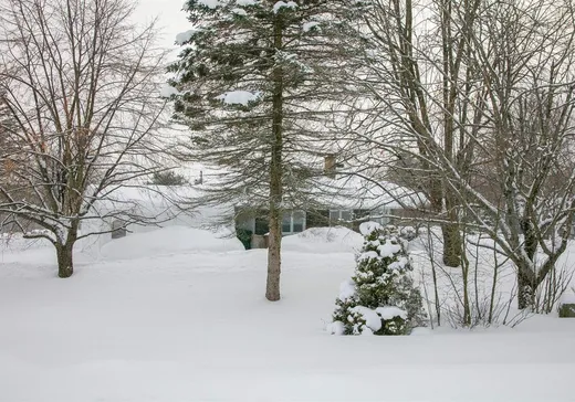 Maison à vendre - 142 1re Avenue, Pointe-Claire (Île de Montréal), J0B 2H0