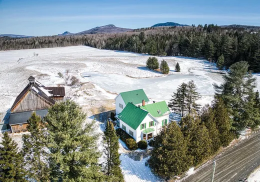 Maison à étages à vendre - 49 Ch. Peabody, Mansonville, J0E1X0