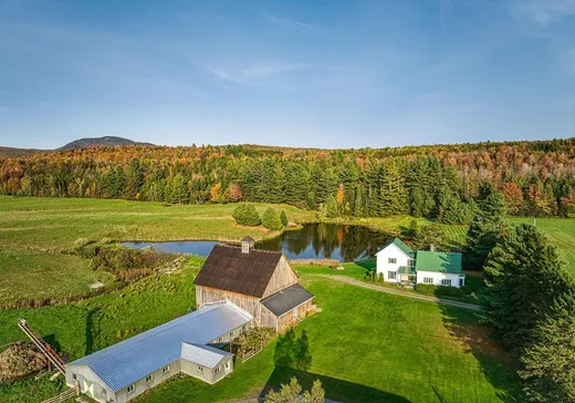 Maison à vendre - 49 Ch. Peabody, Mansonville, J0E 1X0