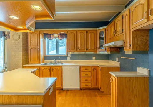 House for sale - 230 Rue Guillemette, Ste-Helene-de-Chester, G0P 1H0