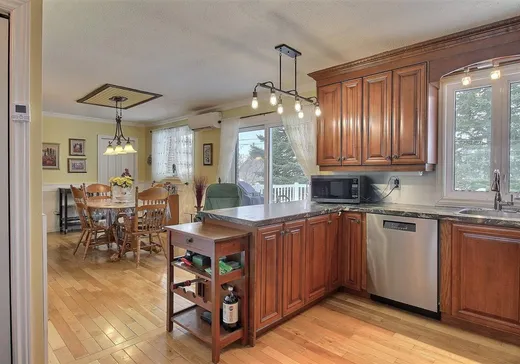 Maison à vendre - 8 Rue Nadeau, Victoriaville, G6P 6Z5