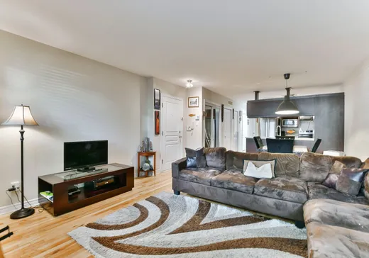 Condo à vendre - 3870 Rue Masson 2, Montréal (Rosemont–La Petite-Patrie), H1X 1T1