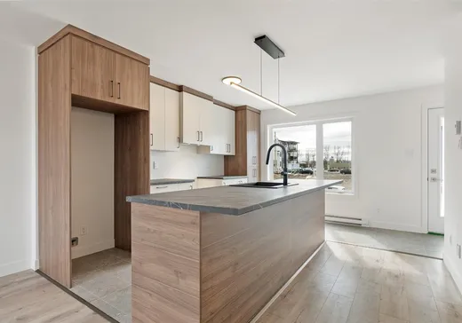 Maison à vendre - 3050 Rue de la Céramique, Les Chutes-de-la-Chaudière-Ouest, G6J 0R2