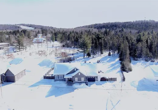 Maison à vendre - 131 Ch. des Loisirs, St-Élie-de-Caxton, G0X 2N0