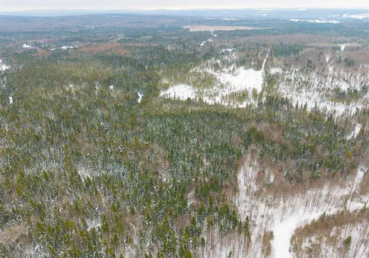 Fermette à vendre - 195 Ch. du 4e Rang, Cookshire-Eaton, J0B 1M0