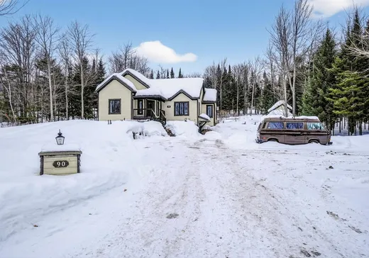 Maison à vendre - 90 Mtée des Samares, Sainte-Agathe-des-Monts, J8C 0R7