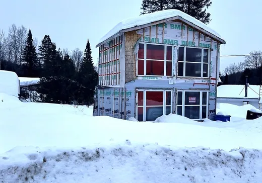 House for sale - 235 Rue Bellerive, Montreal (Mercier/Hochelaga-Maisonneuve), H1W 3S2