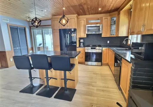 Maison à vendre - 59 Rg St-Philippe, Notre-Dame-de-Ham, G0P 1C0