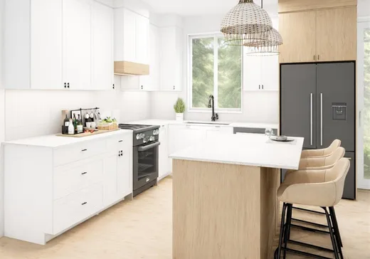 House for sale - 1059 Ch. du Village, Coaticook, J1A 2S4